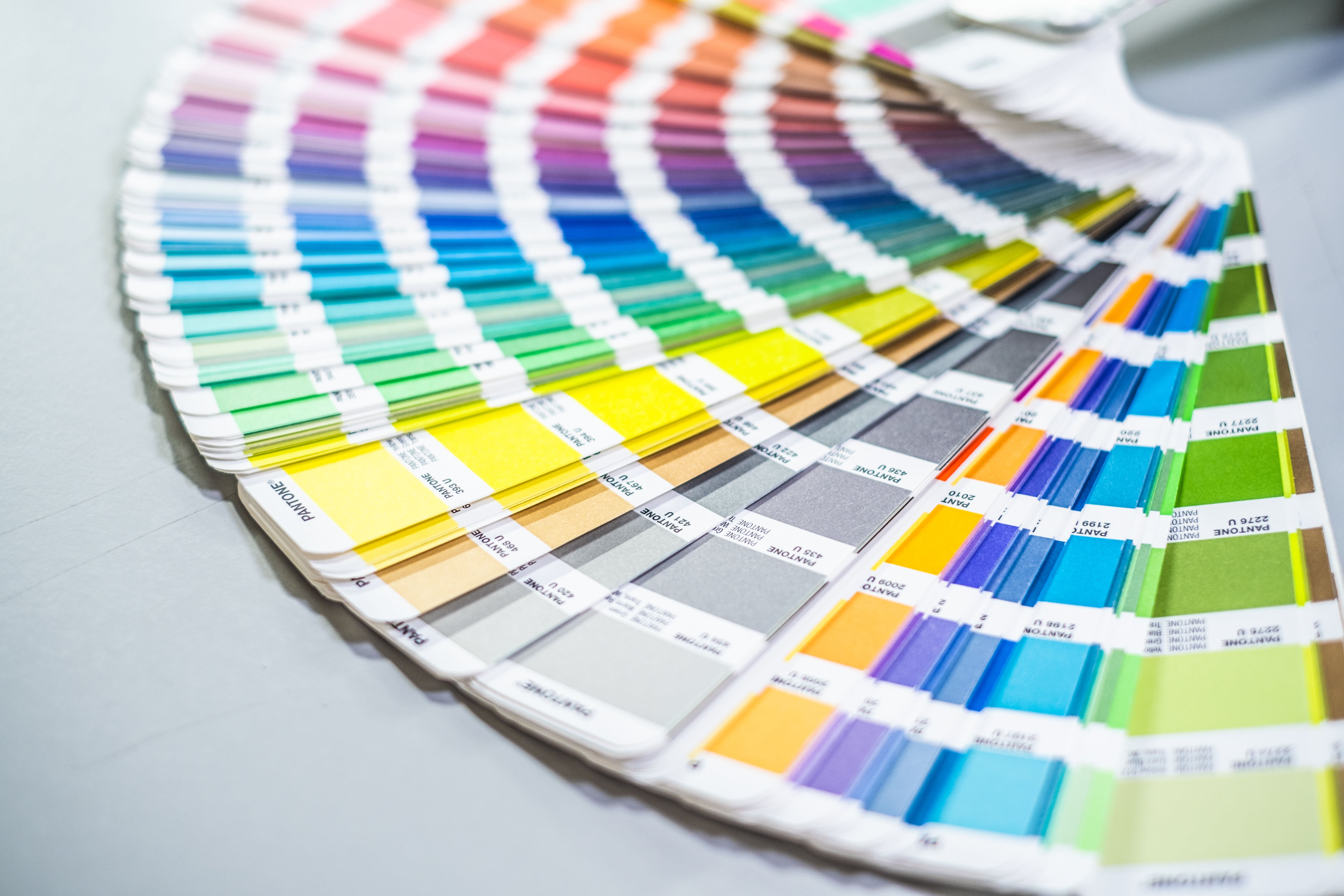 Vamos crescer juntos? 